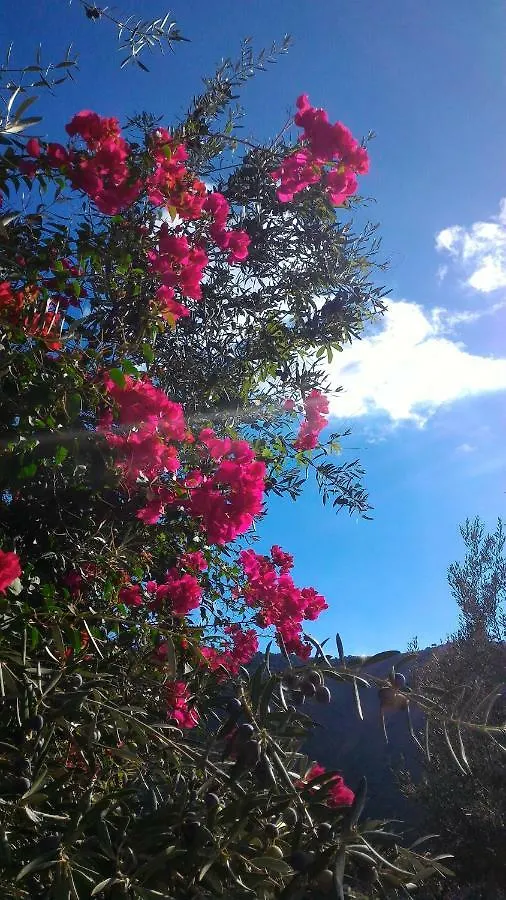 Hacienda Sol Trapiche Villa Trapiche  Trapiche (Malaga)